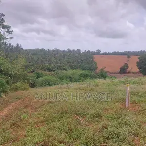 Land for Sale Weniwalkola, Kahathuduwa. ( ID : WNWL001 )