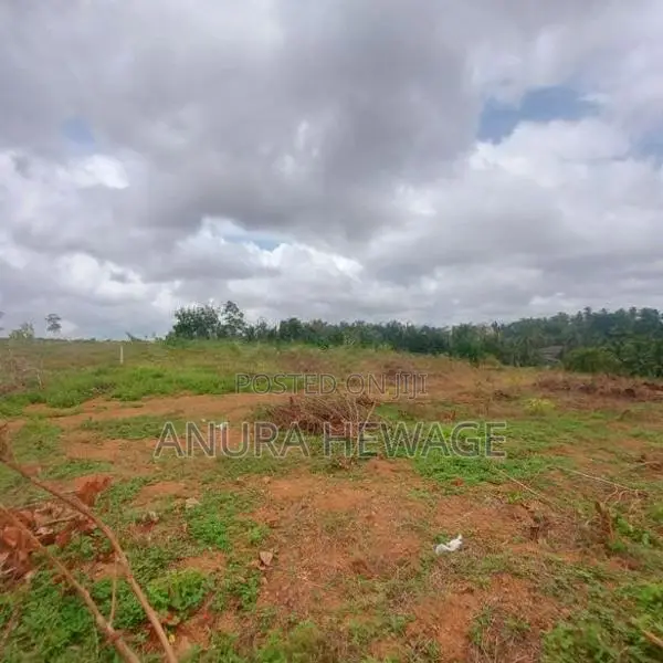 කහතුඩුව, වෙනිවැල්කොළ පිහිටි ඉඩමක් විකිණීමට ඇත. (ID: WNWL001S)