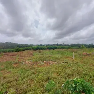 කහතුඩුව, වෙනිවැල්කොළ පිහිටි ඉඩමක් විකිණීමට ඇත. (ID: WNWL001S)