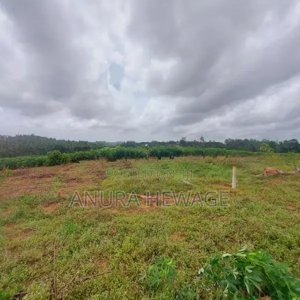 කහතුඩුව, වෙනිවැල්කොළ පිහිටි ඉඩමක් විකිණීමට ඇත. (ID: WNWL001S)
