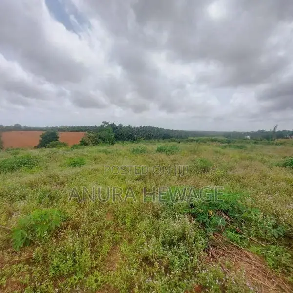 Land for Sale Weniwalkola, Kahathuduwa. ( ID : WNWL001 )