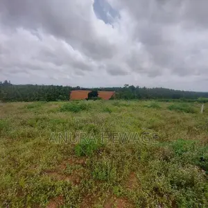 කහතුඩුව, වෙනිවැල්කොළ පිහිටි ඉඩමක් විකිණීමට ඇත. (ID: WNWL001S)