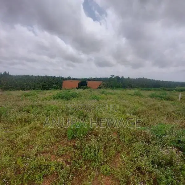 කහතුඩුව, වෙනිවැල්කොළ පිහිටි ඉඩමක් විකිණීමට ඇත. (ID: WNWL001S)