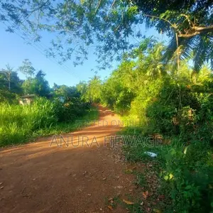 කහතුඩුව, වෙනිවැල්කොළ පිහිටි ඉඩමක් විකිණීමට ඇත. (ID: WNWL001S)