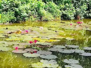(af39) Water Front Facing 15P Land for Sales Ethulkotte