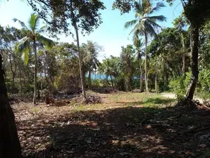 Prime Land for Sale with Breathtaking Beach Views in Dickwella