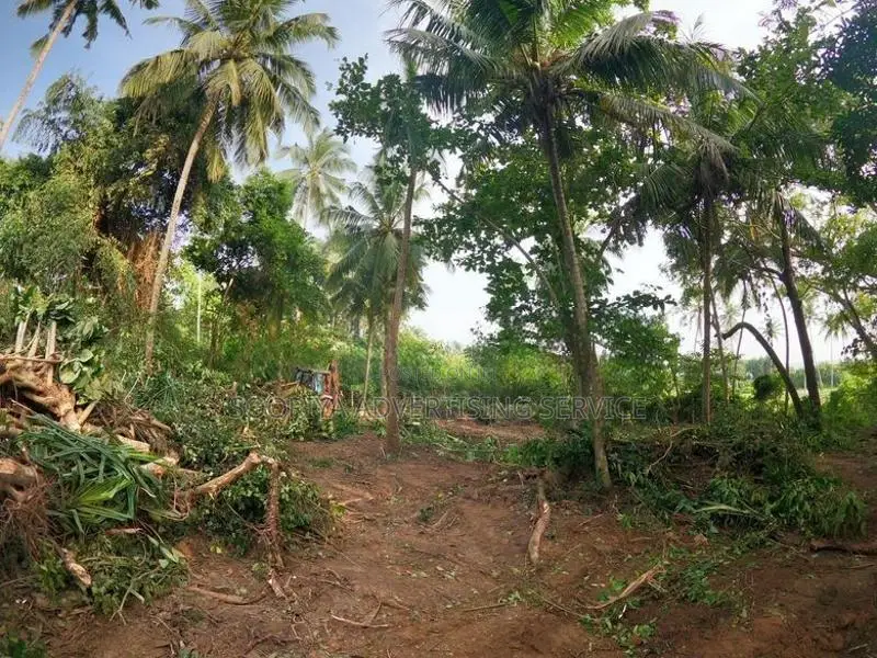 Prime Land for Sale with Breathtaking Beach Views in Dickwella