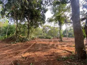 Prime Land for Sale with Breathtaking Beach Views in Dickwella