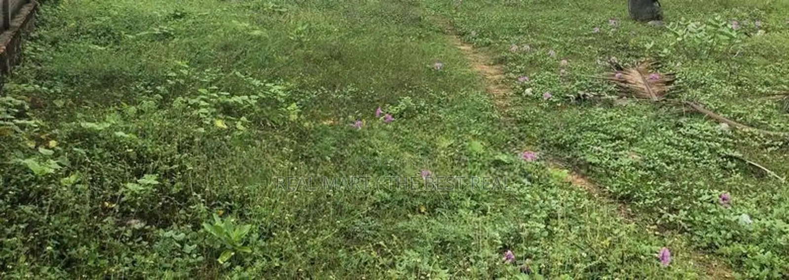 Colombo 8 : 42 perches Land for sale in facing Maradana road