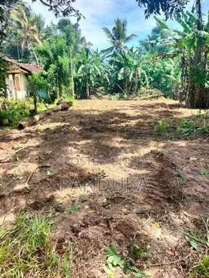 Land for Sale in Weligampitiya - Bollatha