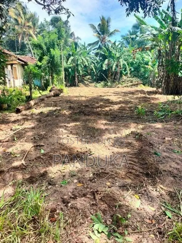 Land for Sale in Weligampitiya - Bollatha