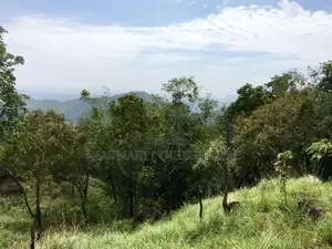 Haputhale : 6.75 acers Hotel Land for Sale at Beragala