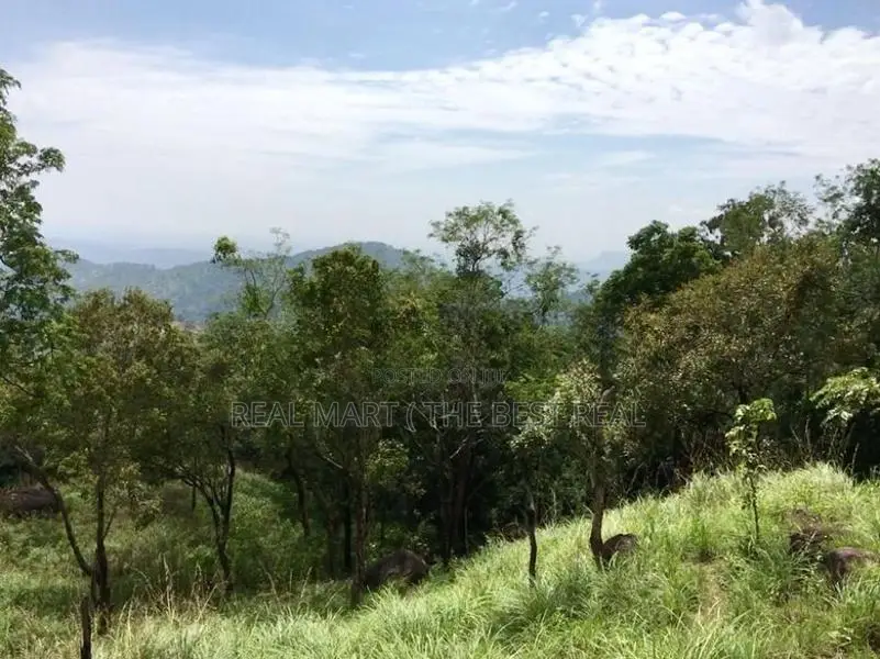 Haputhale : 6.75 acers Hotel Land for Sale at Beragala