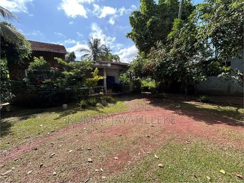 Prime Commercial Land for Sale – Gampaha-Minuwangoda Main Road