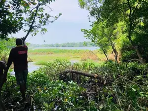 Suwarapola Bolgoda River Side 23 per Land For Sale in (sm3131)