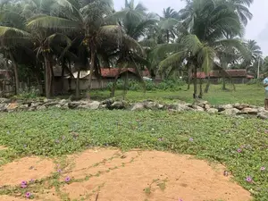 Marawila : 50 Perches Beautiful beach front Land for sale at road