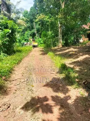 Land for Sale in Weligampitiya - Bollatha