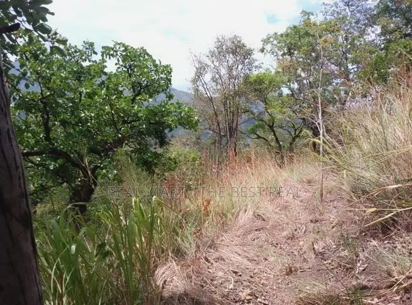 Ella : 20 Acres Land for Sale at Karadagolla