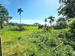 54P Paddy Field Facing Bare Land For Sale In Malabe