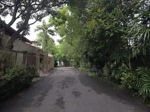 Colombo 6 Prestige | Land Value Offer Renovate or Rebuild SH 15131