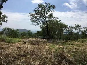 Haputhale : 6.75 acers Hotel Land for Sale at Beragala