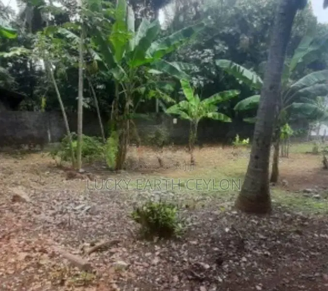 Pannipitiya Valuable Parcel Of Land For Sale (ZMS1005)