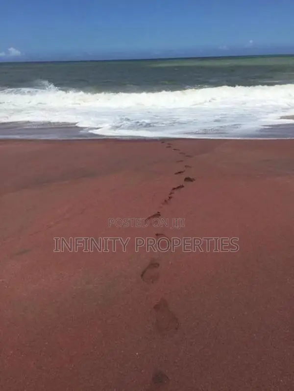 (AF159) 200P Beach Facing Land for Sale in Usangoda Nonagama