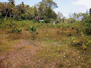 (AF164) 302P Beach Facing Land for Sale in Hiriketiya Dickwella