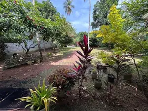 Prime Commercial Land for Sale – Gampaha-Minuwangoda Main Road