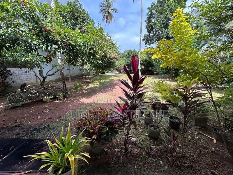 Prime Commercial Land for Sale – Gampaha-Minuwangoda Main Road