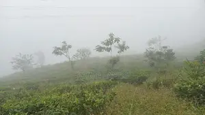 Land of Sale Nuwaraeliya