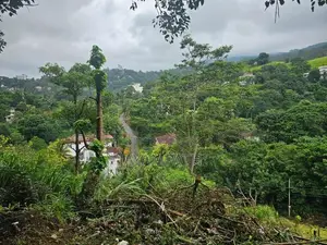 Land for sale in kandy, Hanthana
