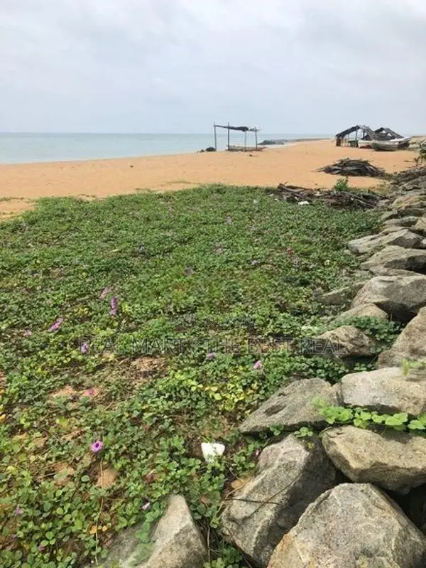 Marawila : 50 Perches Beautiful beach front Land for sale at road