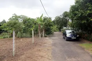 Land for Sale in Diyagama
