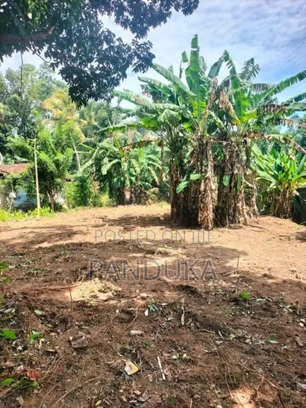 Land for Sale in Weligampitiya - Bollatha