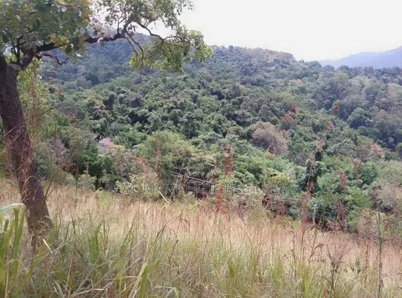Ella : 20 Acres Land for Sale at Karadagolla