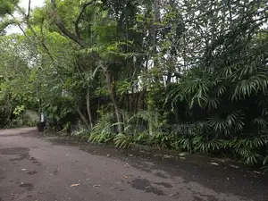 Colombo 6 Prestige | Land Value Offer Renovate or Rebuild SH 15131