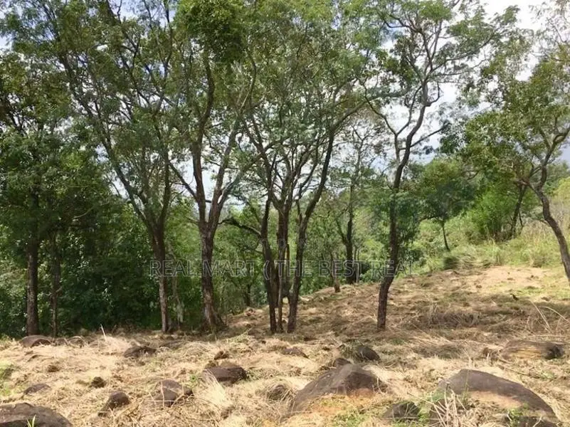 Haputhale : 6.75 acers Hotel Land for Sale at Beragala