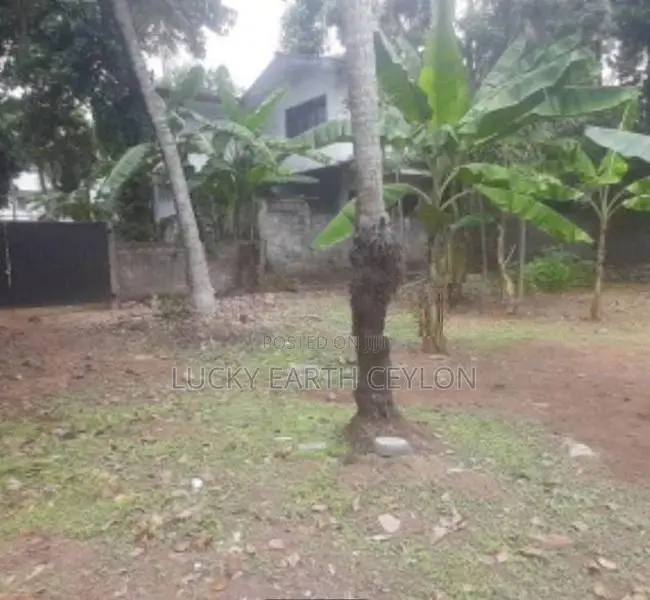 Pannipitiya Valuable Parcel Of Land For Sale (ZMS1005)