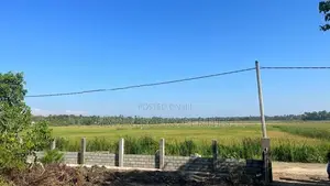 (AF159) 200P Beach Facing Land for Sale in Usangoda Nonagama