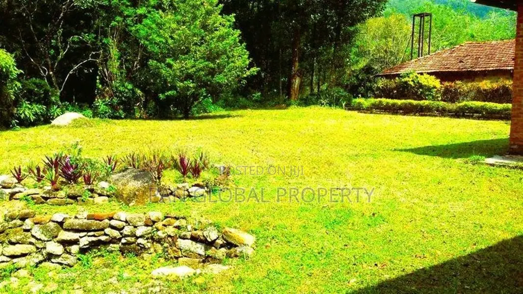Estate for Sale in Bulathkohupitiya