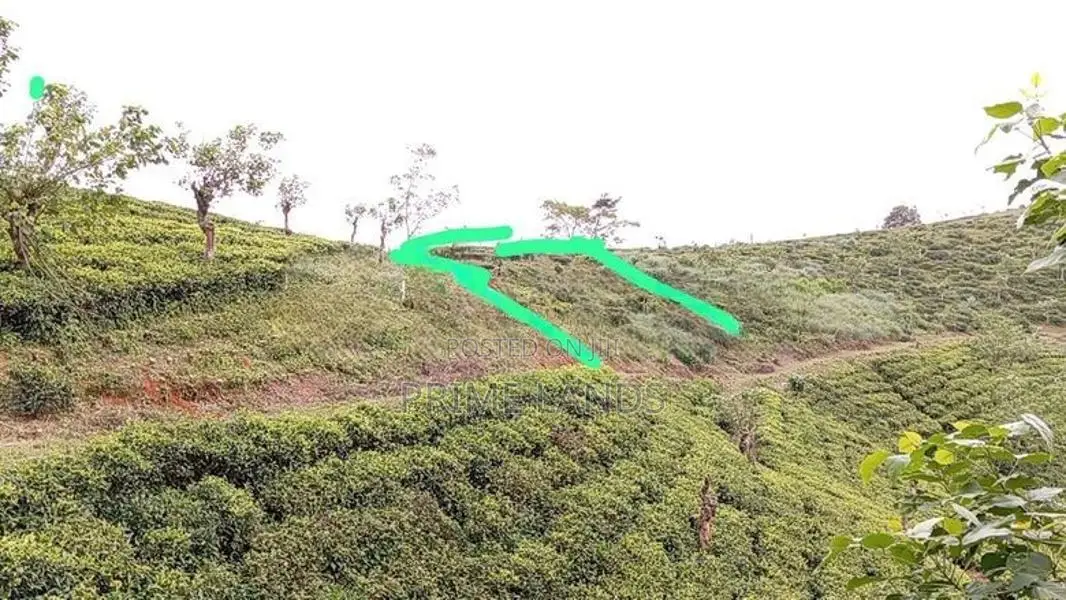 Land of Sale Nuwaraeliya