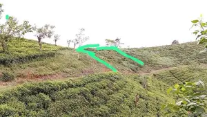 Land of Sale Nuwaraeliya