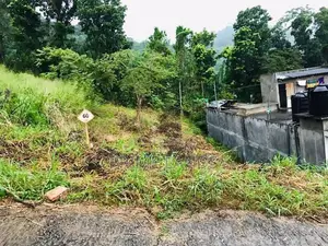 Flat Land for Sale Mawanella