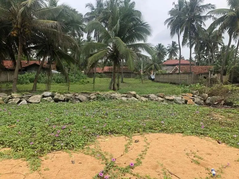 Marawila : 50 Perches Beautiful beach front Land for sale at road