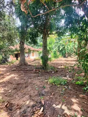 Land for Sale in Weligampitiya - Bollatha