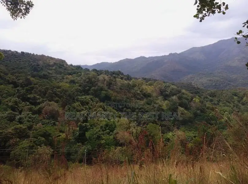 Ella : 20 Acres Land for Sale at Karadagolla