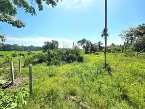 54P Paddy Field Facing Bare Land For Sale In Malabe