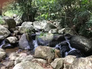 Haputhale : 6.75 acers Hotel Land for Sale at Beragala