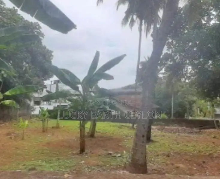 Pannipitiya Valuable Parcel Of Land For Sale (ZMS1005)
